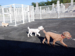 DSCF3488.JPG