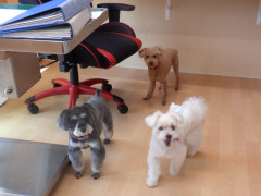 DSCF3500.JPG