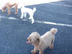 DSCF3490.JPG