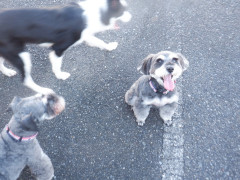DSCF3492.JPG