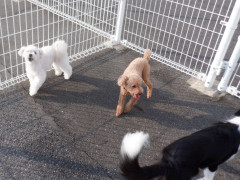 DSCF3517.JPG