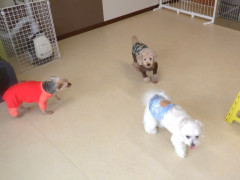 DSCF3569.JPG