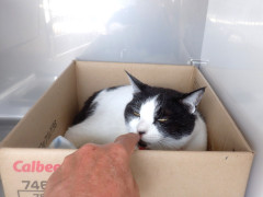 DSCF3551.JPG