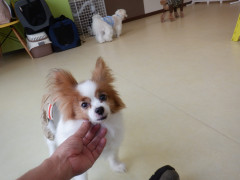 DSCF3564.JPG