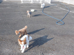 DSCF3584.JPG