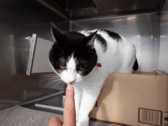 DSCF3598.JPG