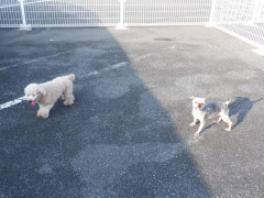 DSCF3593.JPG