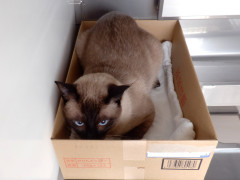 DSCF3610.JPG