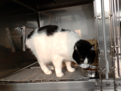DSCF3609.JPG