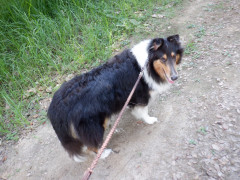 DSCF3614.JPG