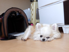 DSCF3621.JPG