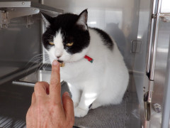 DSCF3624.JPG