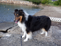 DSCF3632.JPG