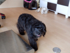 DSCF3637.JPG