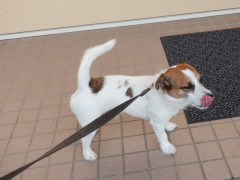 DSCF3646.JPG