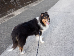 DSCF3647.JPG