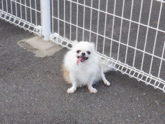 DSCF3650.JPG