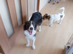 DSCF3682.JPG