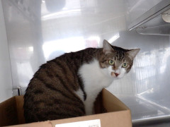 DSCF3674.JPG