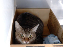 DSCF3667.JPG