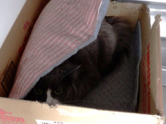 DSCF3668.JPG