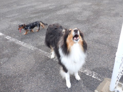 DSCF3705.JPG