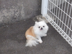 DSCF3709.JPG
