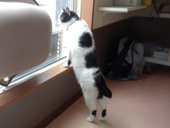 DSCF3733.JPG