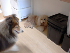 DSCF3741.JPG