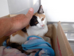 DSCF3738.JPG