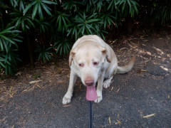 DSCF3749.JPG