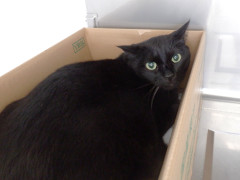 DSCF3740.JPG