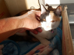 DSCF3761.JPG