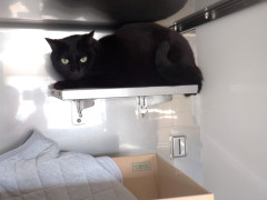 DSCF3764.JPG