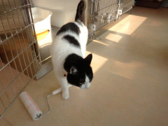 DSCF3758.JPG