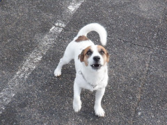 DSCF3752.JPG
