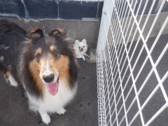 DSCF3772.JPG