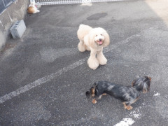 DSCF3777.JPG
