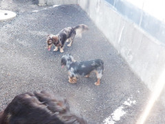 DSCF3782.JPG