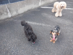 DSCF3788.JPG