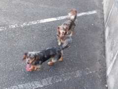 DSCF3792.JPG
