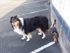 DSCF3799.JPG