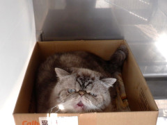 DSCF3820.JPG