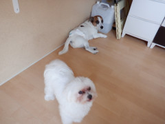 DSCF3840.JPG