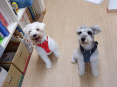 DSCF3849.JPG