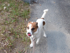 DSCF3857.JPG