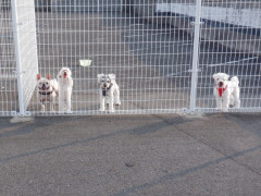 DSCF3860.JPG