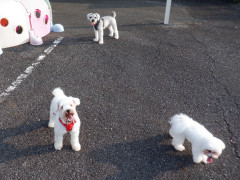 DSCF3866.JPG