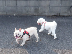 DSCF3868.JPG