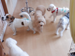 DSCF3876.JPG